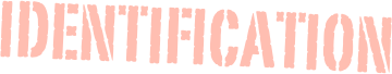 Identification